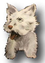 Perro-lulu-naranjas